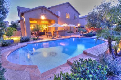 Backyard 1