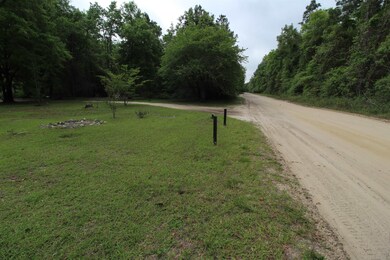 189 Forest Ln, Crawfordville, FL 32327 - photo 2