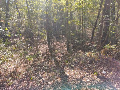 00 Joe Robertson Rd, Rocky Face, GA 30740 - photo 2