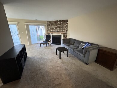 7030 Park Lane Ct unit 203, Woodridge, IL 60517 - photo 4
