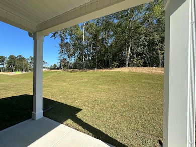 1130 Curlew Cir unit Lot 116, Sumter, SC 29150 - photo 4