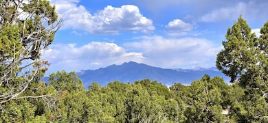 816 Hamilton Stage Rd, Elko, NV 89801 - photo 5