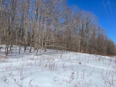 0 N Sunshine Trail unit 201817387, Wolverine, MI 49799 - photo 3