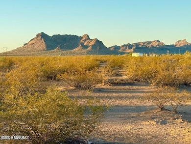 20251106070039762024000000-o