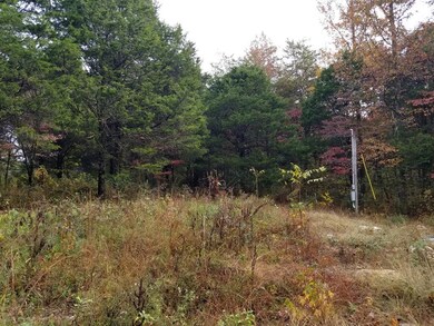 385 Doug Luna Rd, Walling, TN 38587 - photo 7