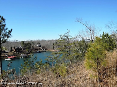 0 Sipsey Overlook Rd unit 21-307, Double Springs, AL 35553 - photo 4