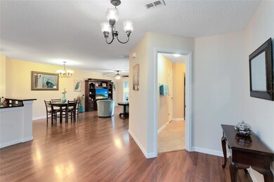 21710 Belgian Ct, Mount Dora, FL 32757 - photo 4