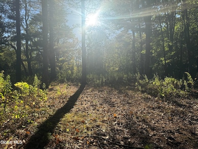 2482 Troy Schenectady Rd, Niskayuna, NY 12309 - photo 6