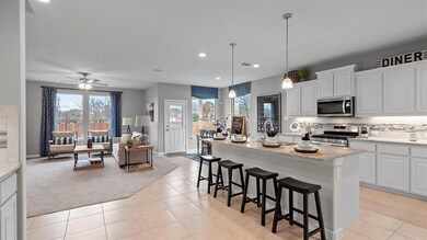 1201 Kerrville Ln, Weatherford, TX 76087 - photo 6