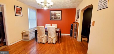 3 S Culver St, Baltimore, MD 21229 - photo 7