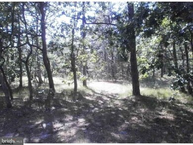 Lot Lot #2 10th St, Hammonton, NJ 08037 - photo 5