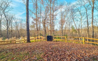 Additional View