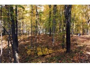 2 Turkey Ridge Rd, Batesville, IN 47006 - photo 2