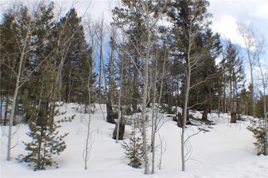 1051 Caracara Ln, Como, CO 80432 - photo 5