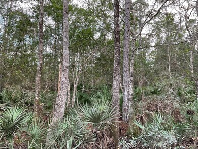 4646 Gum Rd, New Smyrna Beach, FL 32168 - photo 6