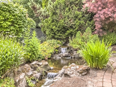 Water Feature