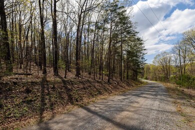 0 Cross Mountain Rd unit 663155, Luray, VA 22835 - photo 5