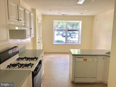 4500 Chaucer Way unit 106, Owings Mills, MD 21117 - photo 6