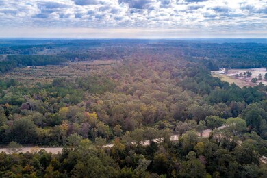 4 Drone View (2 of 6)