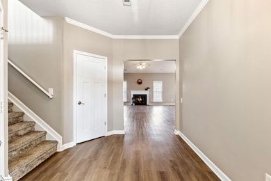 102 Goldenrain Way, Simpsonville, SC 29680 - photo 3