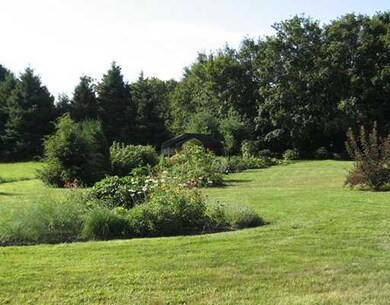 Yard/Garden.