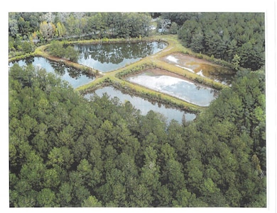 Drone photo of ponds & pines facing NE