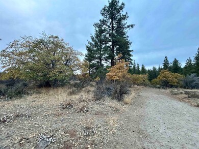 0 Inspiration Point Rd, Susanville, CA 96130 - photo 5