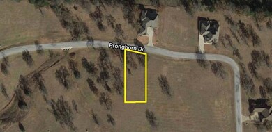 Lot 35C Pronghorn Dr, Gordonville, TX 76245 - photo 2