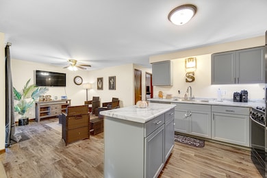 1069 Flamingo Ln, Bradley, IL 60915 - photo 6