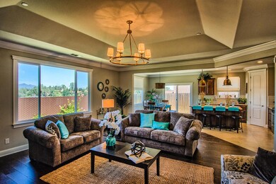 Kitchen and Living room
