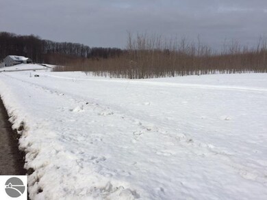 7583 E Meadows Dr unit 56, Cedar, MI 49621 - photo 4