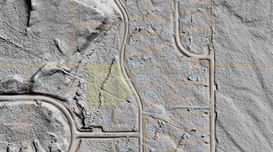 Bare Earth