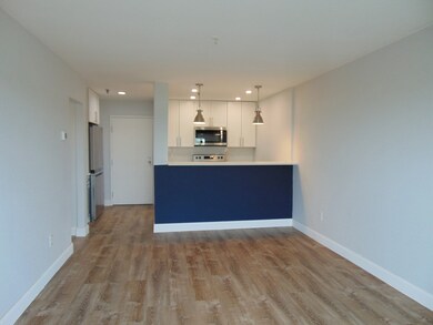Edgewater Place Condominiums unit 310, Quincy, MA 02171 - photo 6