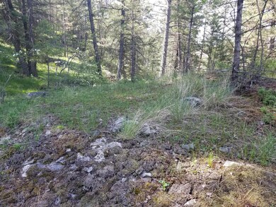 230 Eagle Bend Dr, Big Fork, MT 59911 - photo 4