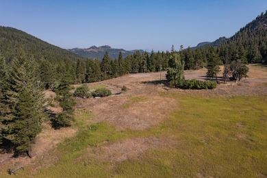 1433 Clugston Onion Freddie Mac-6