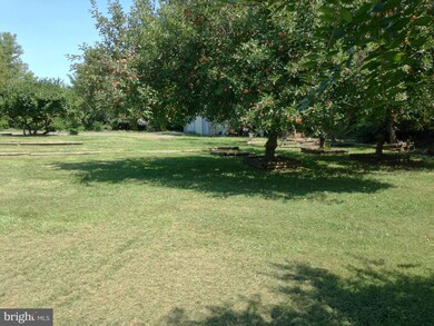 8399 W Main St, Marshall, VA 20115 - photo 7