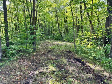 TBD N Blackduk Lake Rd, Blackduck, MN 56647 - photo 4