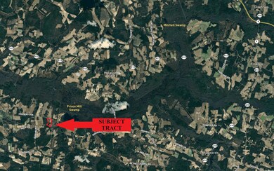 TBD Highway 308 unit Lot 3, Galivants Ferry, SC 29544 - photo 7