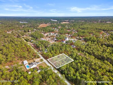 482 & 490 Wood Haven Rd, Boiling Spring Lakes, NC 28461 - photo 6