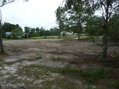 View from Back of Lot