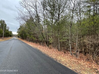 L18.2 Old Kings Rd, New Baltimore, NY 12087 - photo 7