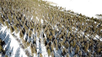 1396 Middle Fork Vista unit 267, Fairplay, CO 80440 - photo 4