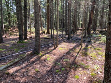 lot 13 Upper Spruce Shore Rd, Harpswell, ME 04079 - photo 2