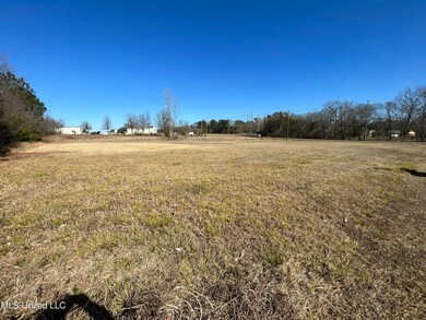 0 Stark Rd, Starkville, MS 39759 - photo 6