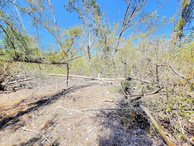 1.5 ACRES (+/-) Interior of Island