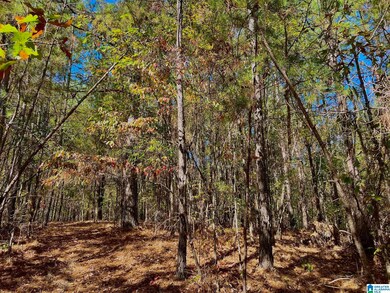 001 County Road 997 unit a, Clanton, AL 35046 - photo 2