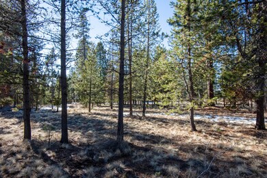 311 Trailmere Circle