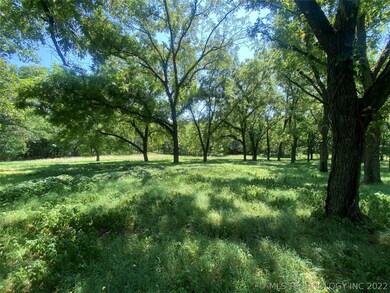 Gorgeous trees everywhere