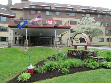 23 Black Bear Rd unit 603, Waterville Valley, NH 03215 - photo 2