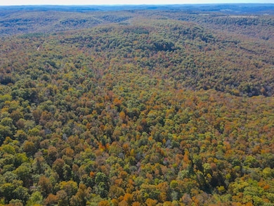 0000 Highway 412, Berryville, AR 72616 - photo 3